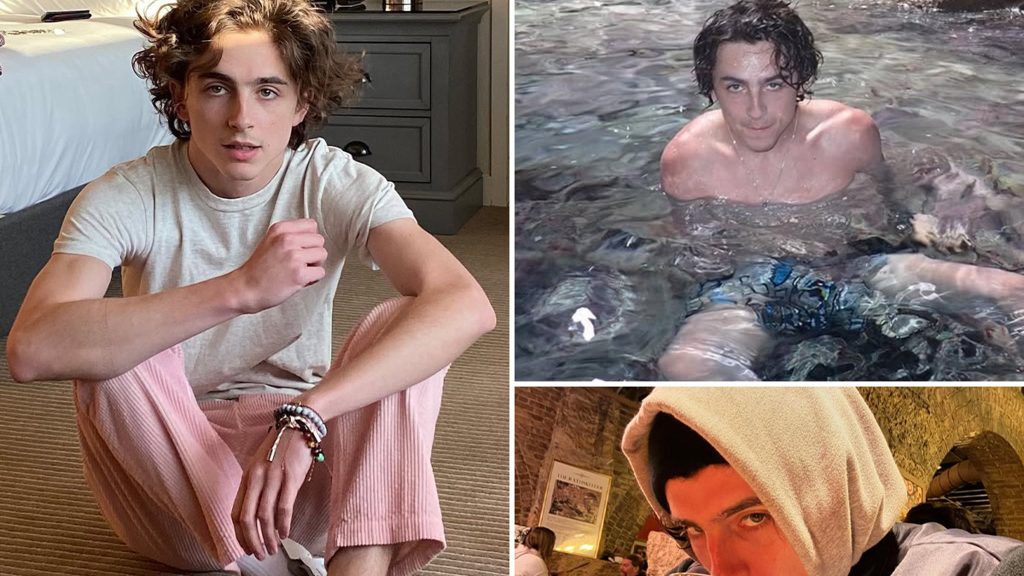 Foto Sosial Timothée Chalamet yang Apik untuk Mengawali Hari Ulang Tahunnya yang ke-29!