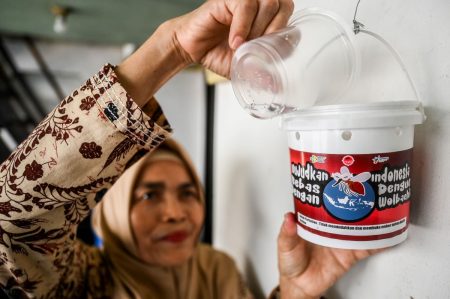 10.752 Kasus DBD Di Indonesia Hingga Februari, Kemenkes Imbau Tren DBD Dan Chikunguya