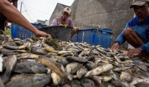 13 Makanan Kandung Vitamin B Yang Harus dan Konsumsi Sekarang