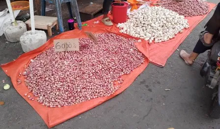 Harga bawang naik, cabai turang di bengkulu