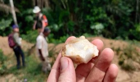 Ilmuwan Temukan Bukti Paling Awal Bahwa Nenek Moyang Manusia Pernah Hidup Di Hutan Afrika, 150.000 Tahun Lalu