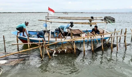 Ini Modus Kades Kohod Yang Diduga Palsukan Dokumen Sertifikat HGB Pagar Laut Tangerang