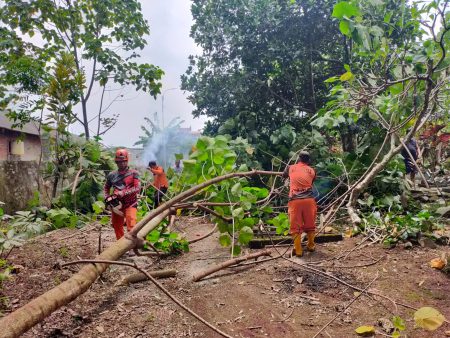 Jelang Ramadan, Waraga Tasikmalaya BPBD BPBD BERSIHKAN Makam Dan Pangkas Pohon