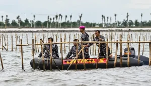 Lanjutkan Pembongkrara Pagar Laut di Tangerang, Tni al Tersisa 5,26 kilometer