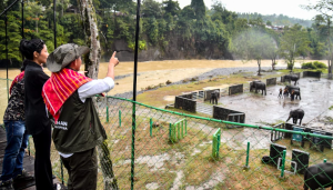 Masyarakat sulap kawasan pembalakan pembohong jadi ekowisata