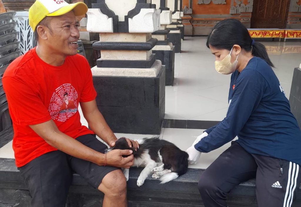 PEMKOT DENPASAR AKAN GELAR FESTIVAL ANJING DALAM RANGKA CEGAH PENARANAN RABIES