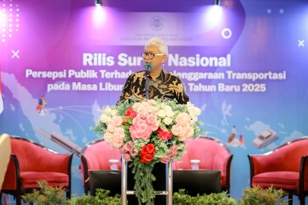 Persepsi Publik Terhadap Penyelenggaraan Transportasi Pada Masa Libur Natal 2024 Dan Tahun Baru 2025