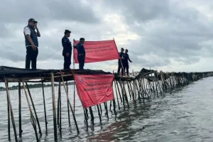 Trpn bongkar pagar laut secara mandiri, kkp awasi ketat