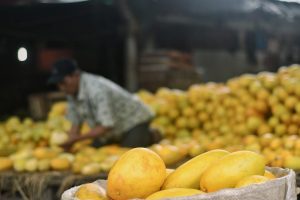 10 Manfaat Timun Suri Bagi Kesehatan, Bisa Menjaga Hidrasi Tubuh