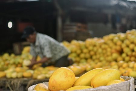 10 Manfaat Timun Suri Bagi Kesehatan, Bisa Menjaga Hidrasi Tubuh