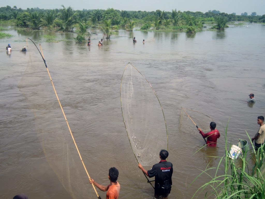 12.813 Jiwa Terdampak Banjir Di Riau