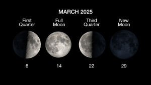 Gerhana Bulan Total Darah Moon Akan Berlangsung 65 Menit