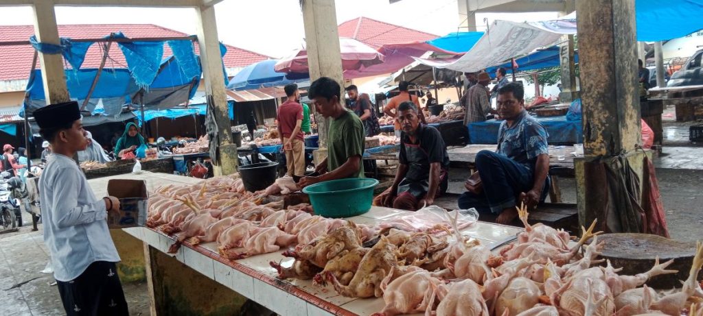 HARGA AYAM PEOKET DI ACEH, WARGA Resah