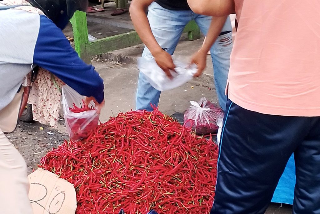 HARGA CABAI DI BENGKULU TURUN RP20 Ribu per kilogram