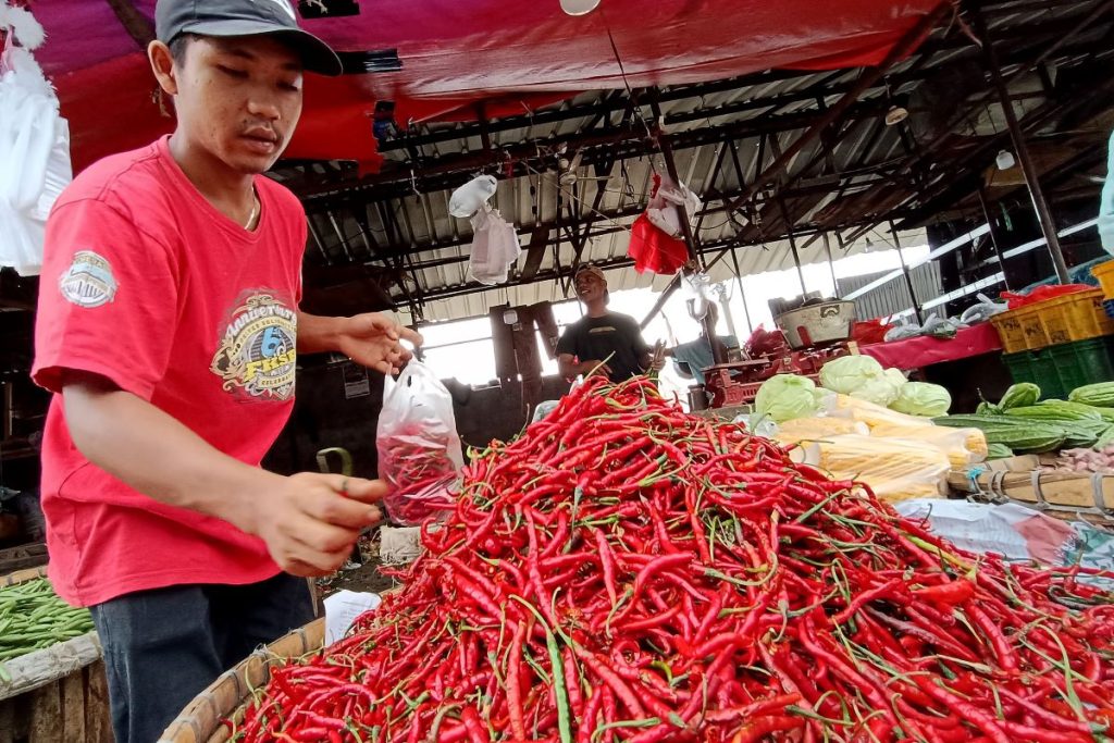 HARGA CABAI TEMBUS RP130 Ribu per kilogram Jelang Lebaran 2025