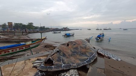 Heboh Soal Ornamen Patung Penyu Di Sukabumi, Sekda Angkat Bicara Anggara 15 m untuk penata Pantai Gadobangkong