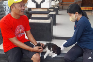 KEMENKES KELUARKAN EDARAN KEWASPADA KASUS RABIES