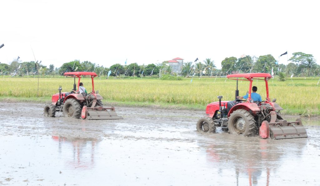 KEMENTAN GELONTORKAN ANGGARAN RP1 TRILIUN UNTUK CETAK Sawah 500 Ribu Hektare di Kalsel