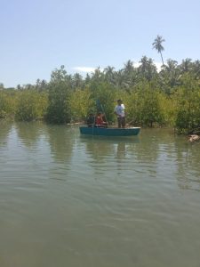 Mangrove Di Amping Parak, Benteng Hijau Alami Dari Abrasi