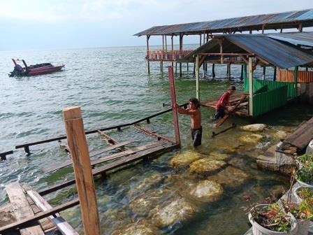 Permukaan Danau ToBa Naik 50 cm, Pelaku usaha di pasirputih parbaba terpaksa Bongkar saung