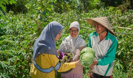 Program Pertanian Organik Tingkatkan Hasil Panen Petani Lokal